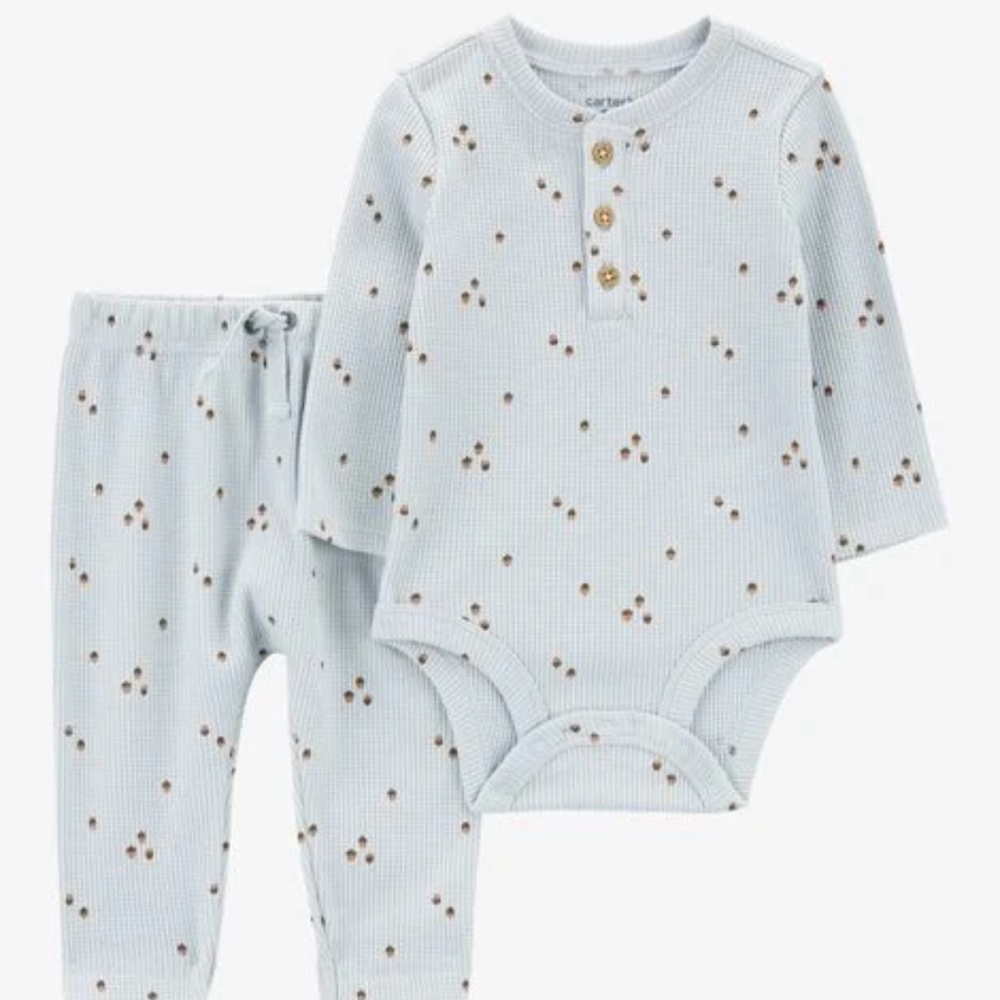 Carter's Light Blue and Brown Kids Matching Set